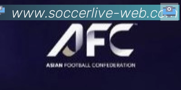 FIFA世界杯买球入口合作伙伴